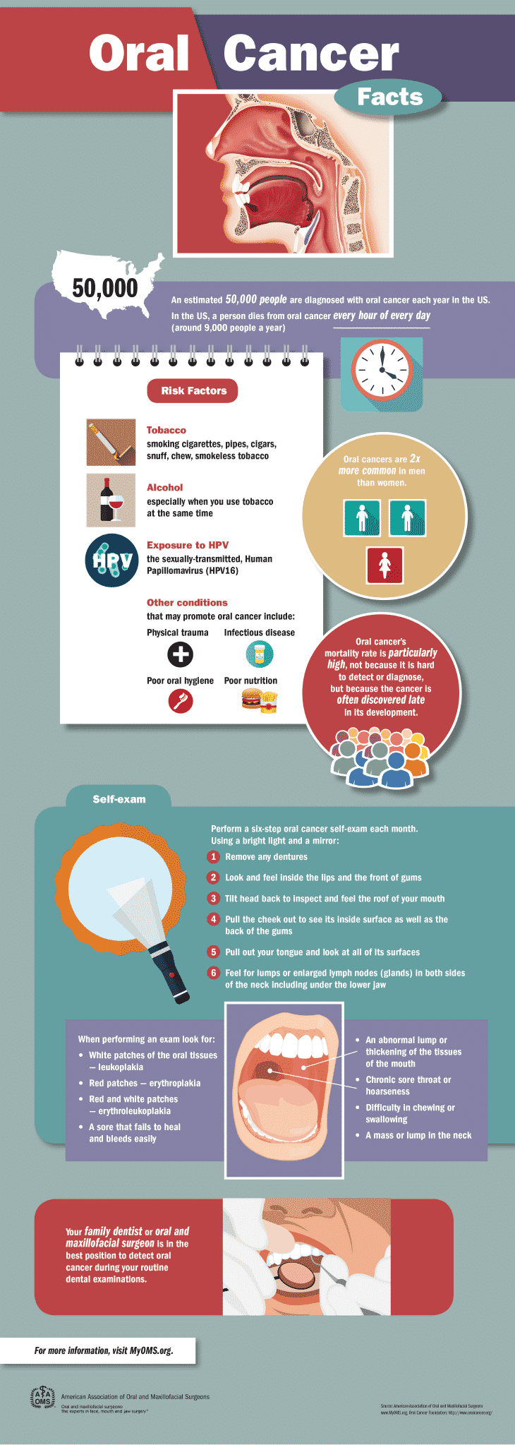 A graphic of an infographic about alcohol