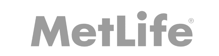 A gray logo with the word netlife in front of it.